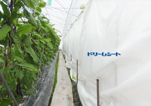 省エネ効果