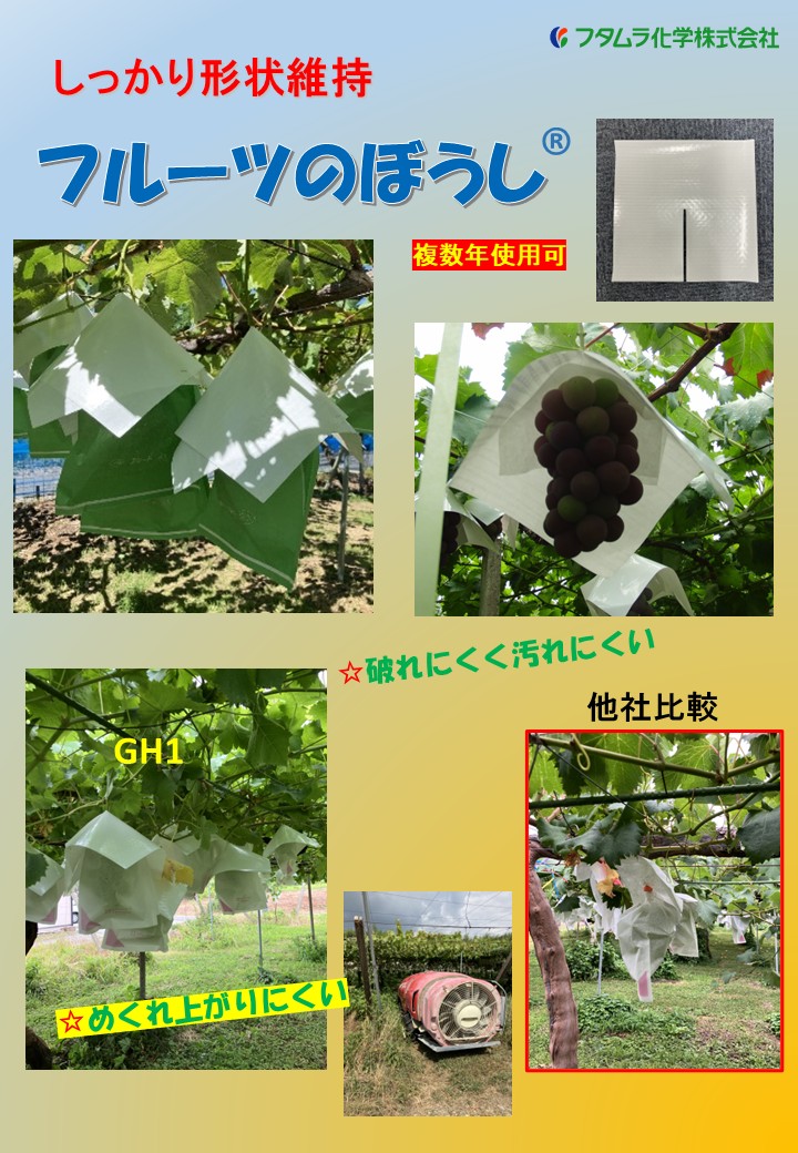 ブドウ傘裏面 形状維持SS散布後