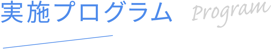 実施プログラム