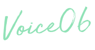 Voice06